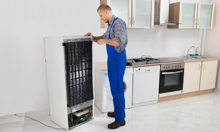 Balçova Fisher & Paykel Servisi 